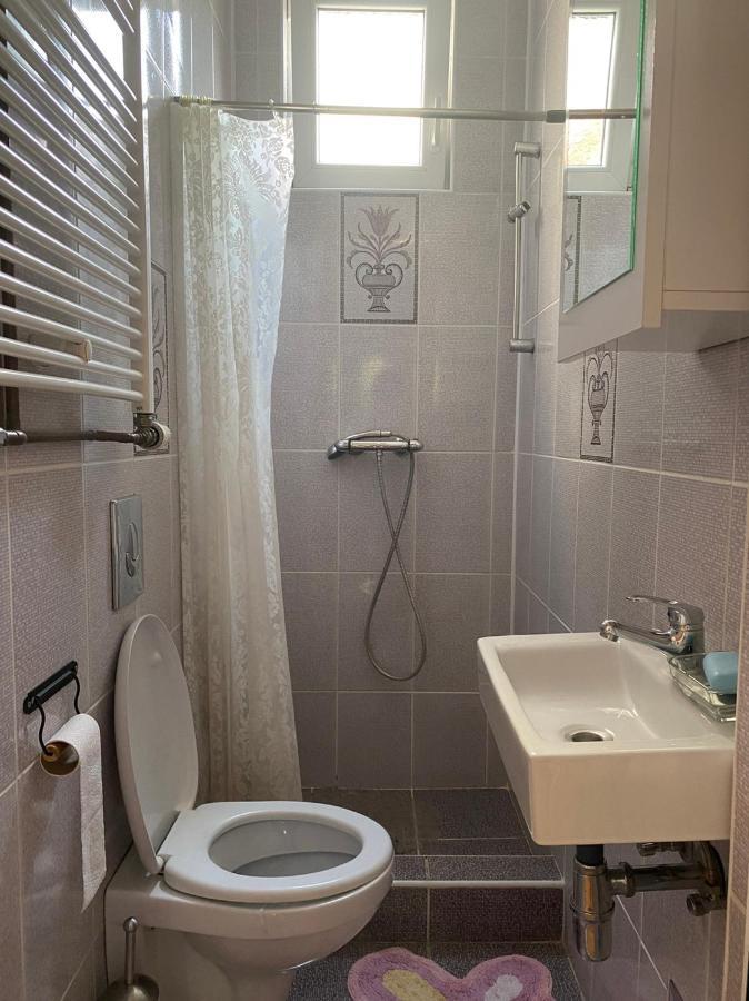Apartmán Gala Soko Banja Exteriér fotografie